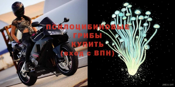 шишки Армянск