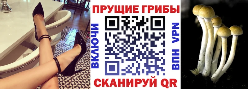 Псилоцибиновые грибы Magic Shrooms  Камешково 