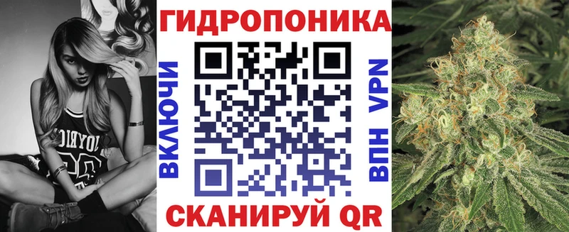 Марихуана OG Kush Камешково